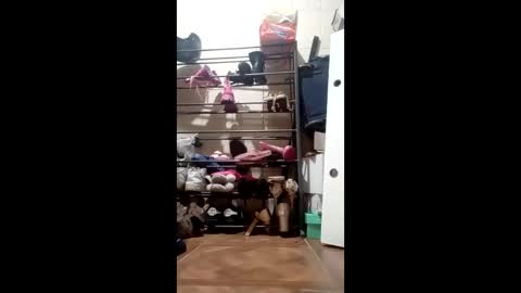 pollagorda874118 online show from April 18, 8:16 am