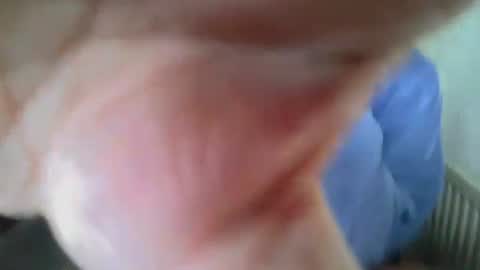 poshman65 online show from April 3, 10:56 am