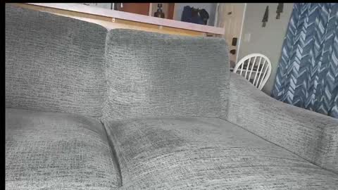 powerstroke345 online show from February 22, 2:24 am