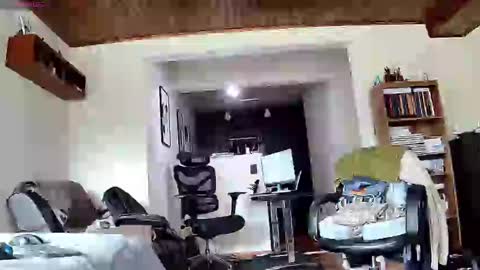 Probardetodo independent model online show from January 27, 3:18 pm