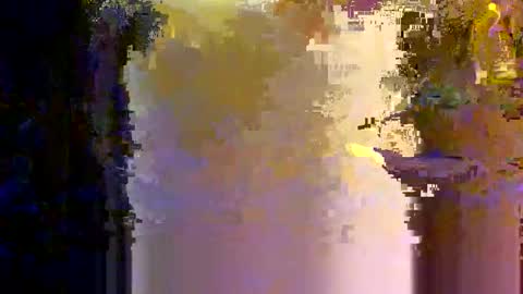 ptut82 online show from October 19, 9:51 pm