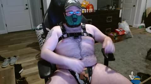 Maine Bear Cub online show from February 11, 4:33 am