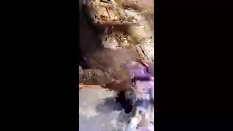 qwcipudorthw online show from April 7, 5:29 am