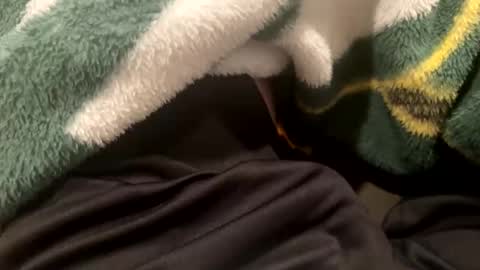 realbigload77 online show from November 6, 2:36 am