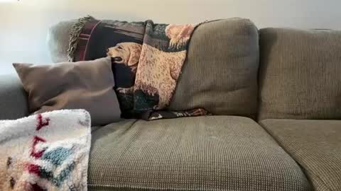 reggio1414 online show from January 2, 10:33 pm