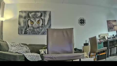 Richard online show from February 21, 11:50 pm