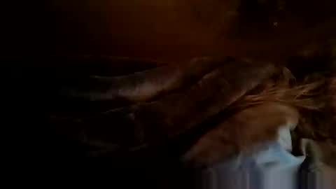 Snapshot of rotorranch chatting on October 23, 10:51 am rotorranch online show from October 23, 10:51 am