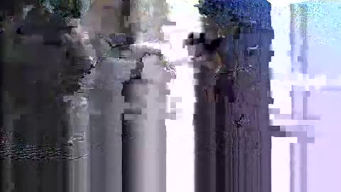 Jayden online show from December 24, 5:34 pm