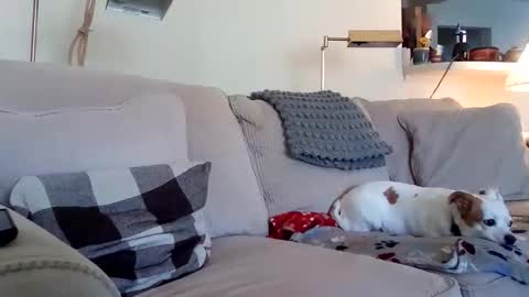 Snapshot of rustyx22 chatting on October 3, 8:58 pm Rusty online show from October 3, 8:58 pm