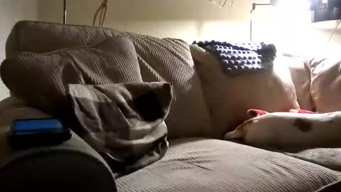 Snapshot of rustyx22 chatting on September 25, 1:48 am Rusty online show from September 25, 1:48 am