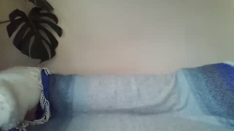 s43_ online show from March 12, 12:15 pm