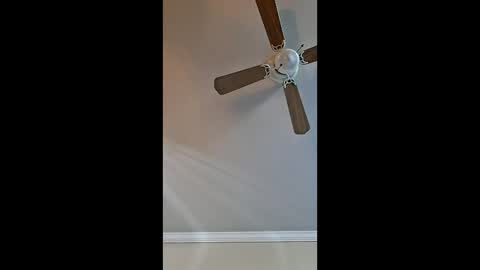 s49309 online show from March 7, 1:31 pm