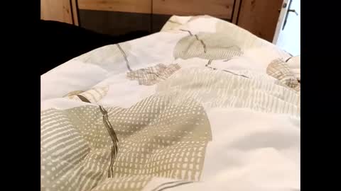 s_xp__ online show from December 19, 11:29 am