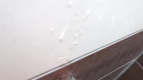 Sacha Lores online show from March 11, 10:55 am