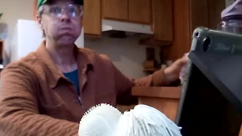 salis1981 online show from November 21, 7:02 pm