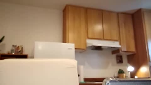 Snapshot of salis1981 chatting on March 2, 5:41 pm salis1981 online show from March 2, 5:41 pm