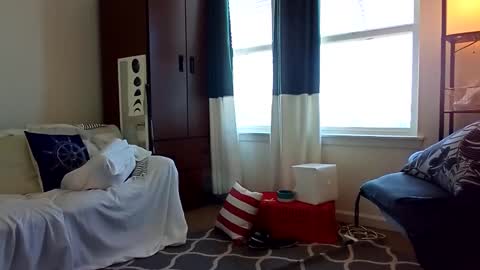 Snapshot of salis1981 chatting on February 5, 8:35 pm salis1981 online show from February 5, 8:35 pm