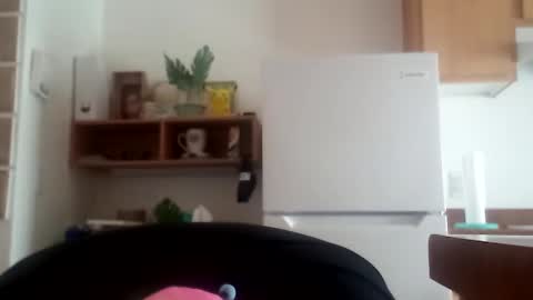 Snapshot of salis1981 chatting on October 4, 11:31 pm salis1981 online show from October 4, 11:31 pm