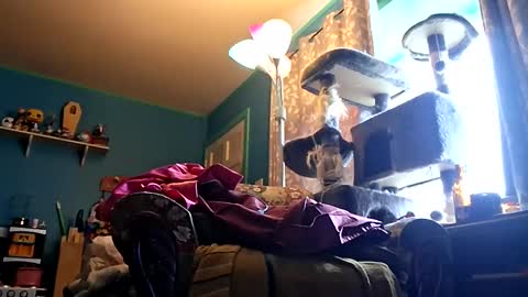 Ryan Hays online show from April 4, 9:12 pm