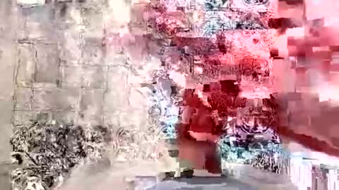 seb97400 online show from April 20, 8:28 am