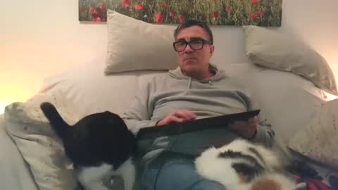 Sexurbation online show from January 31, 8:51 pm