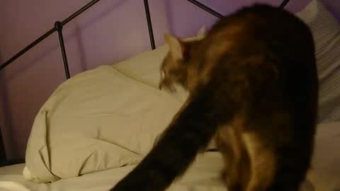 sexxxylibra10 online show from April 9, 9:48 am