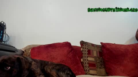 Sexymountainman420 online show from April 16, 1:27 am