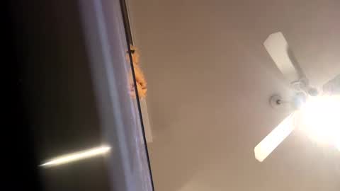 sexyyphilip online show from January 11, 4:59 am