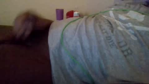 Shameak online show from October 28, 2:47 am