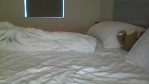 Owner needed online show from February 1, 8:02 am