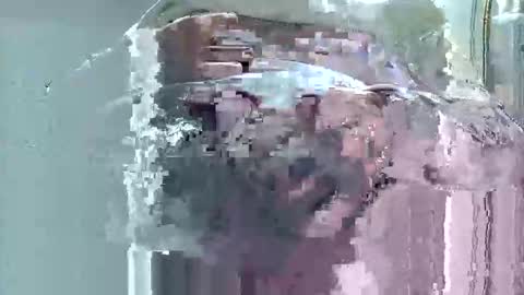 sigaro40 online show from November 17, 12:13 am