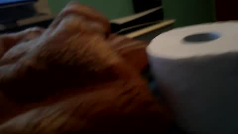 simplyboy_ online show from March 21, 11:09 pm