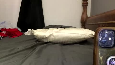 Wheressheldo no limits online show from January 8, 7:24 am