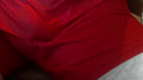 ResqPylot2 online show from January 16, 3:37 pm