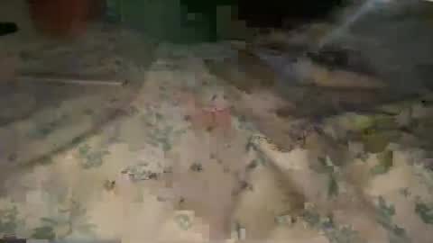 Daddy online show from March 8, 10:58 pm