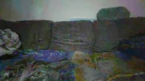 smaug6606 online show from November 24, 6:47 am