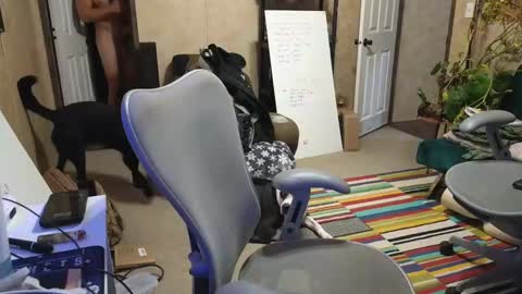 SnackMaster online show from December 18, 3:26 am