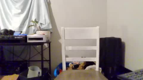 speedforbenji19 online show from May 7, 3:17 am