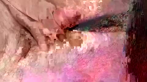 Snapshot of sprayx chatting on December 8, 11:35 am sprayx online show from December 8, 11:35 am