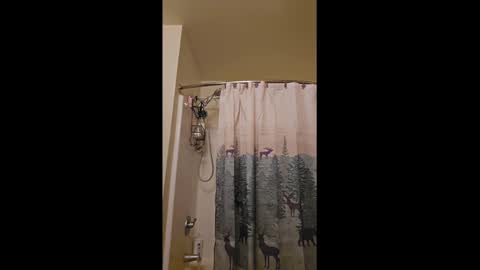 squ1rtl3cb online show from January 9, 11:03 am