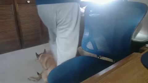 StanmycockUp online show from January 6, 4:44 pm