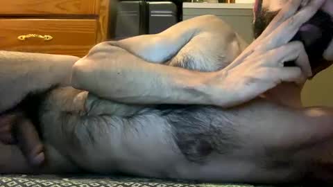 Lobo del Antiguo Oriente online show from April 3, 7:38 am