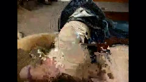 Snapshot of steg333 chatting on January 16, 4:49 am steg333 online show from January 16, 4:49 am