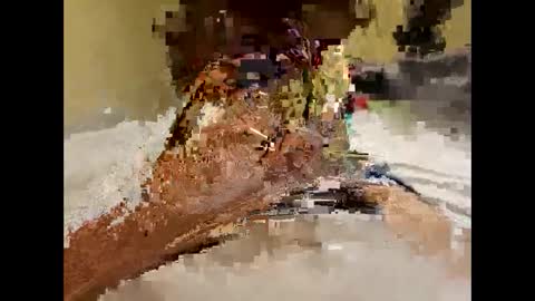 stittymike online show from December 16, 5:27 am