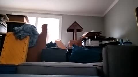 Streetwyze online show from October 17, 5:17 pm