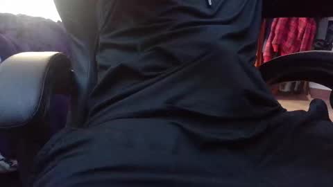 stray cat online show from December 16, 7:54 pm