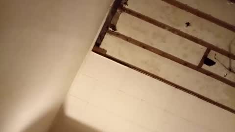 suckmeplease70 online show from November 2, 7:56 am