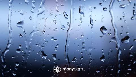 sven online show from October 7, 4:00 pm