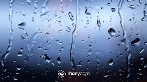 sven online show from October 4, 9:58 am