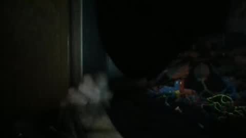 sweetpussylicks online show from December 29, 8:55 am